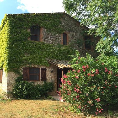 Podere Conte Racani Amelia Exteriör bild