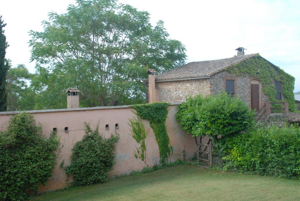 Podere Conte Racani Amelia Rum bild