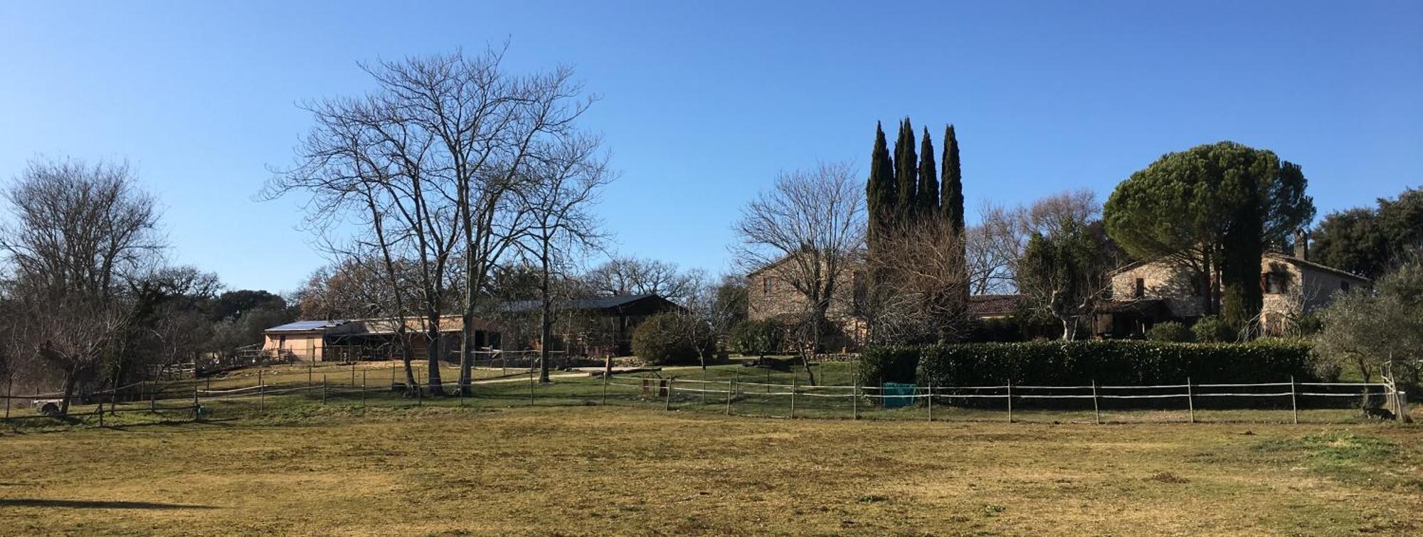 Podere Conte Racani Amelia Exteriör bild