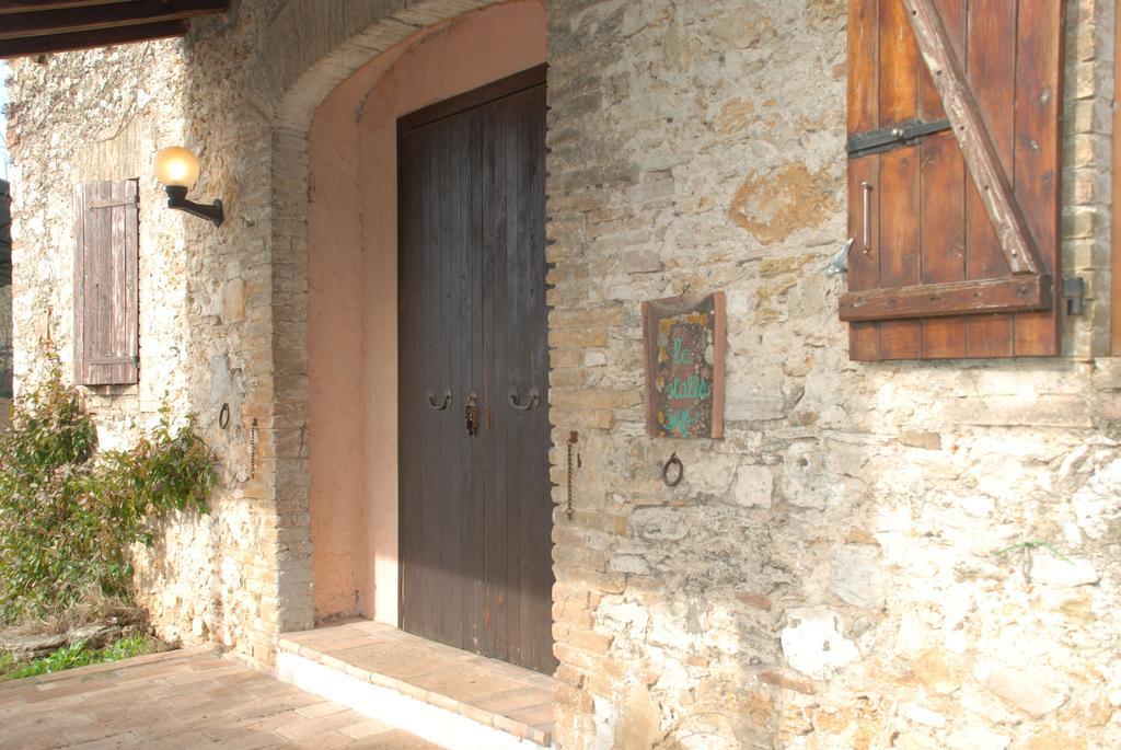 Podere Conte Racani Amelia Rum bild