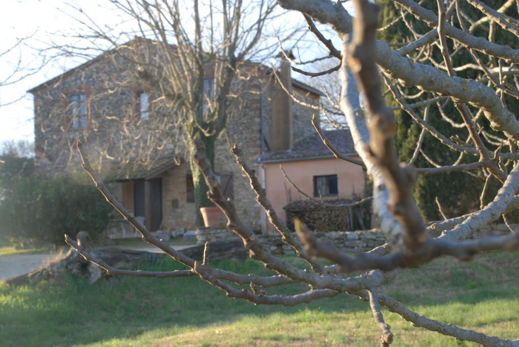 Podere Conte Racani Amelia Exteriör bild