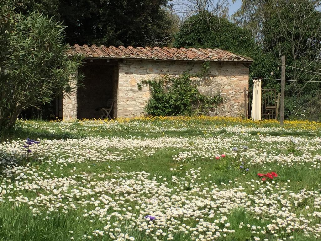 Podere Conte Racani Amelia Exteriör bild