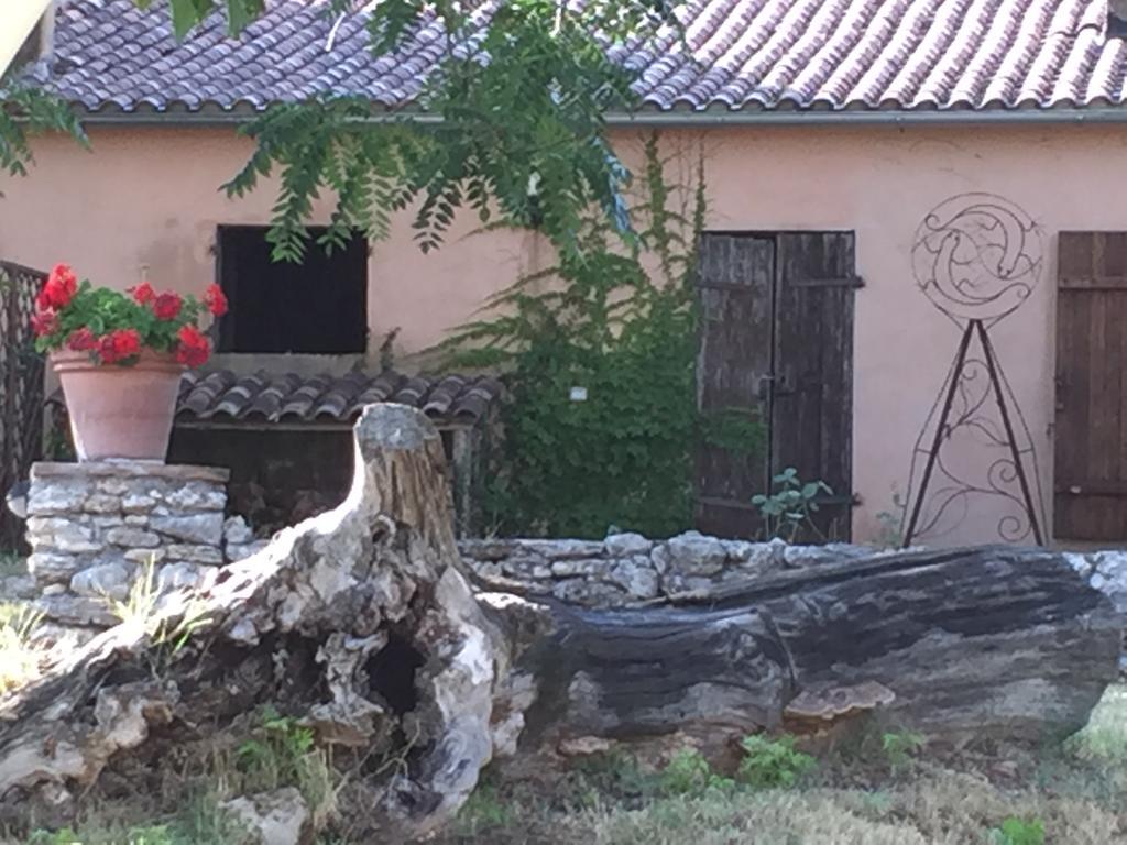 Podere Conte Racani Amelia Exteriör bild