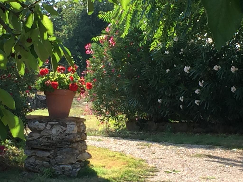 Podere Conte Racani Amelia Exteriör bild
