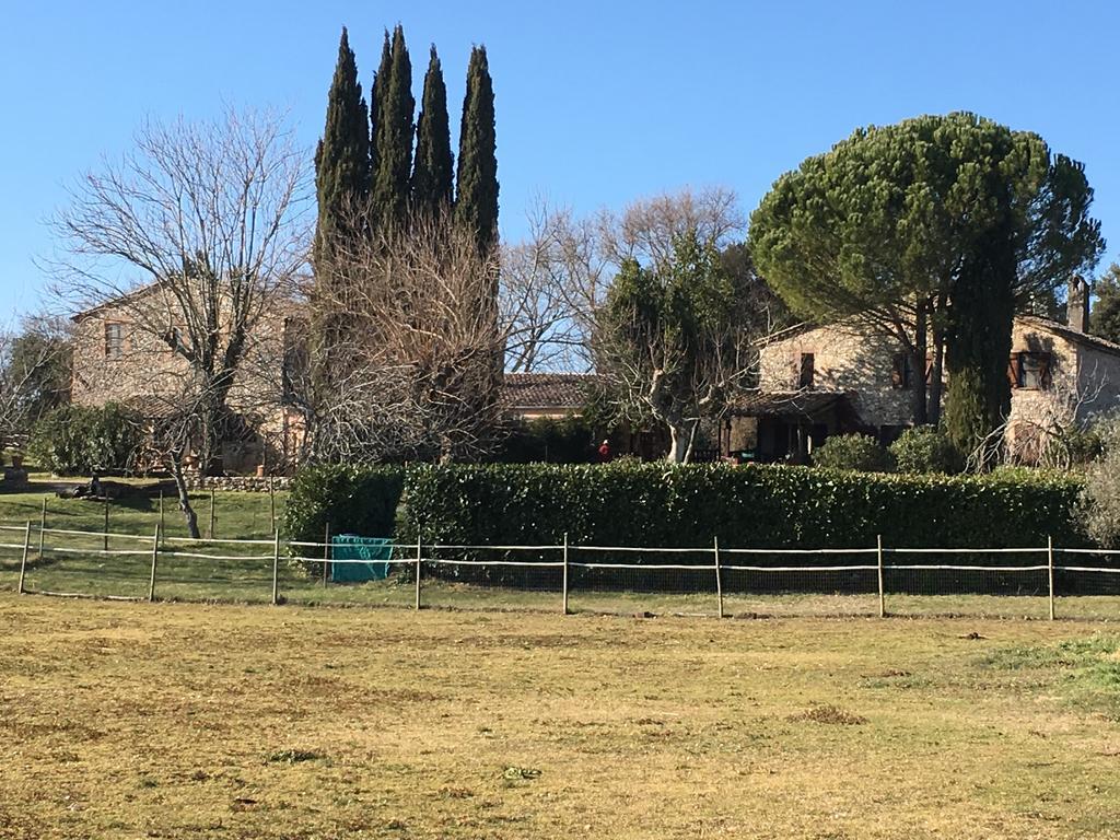 Podere Conte Racani Amelia Exteriör bild