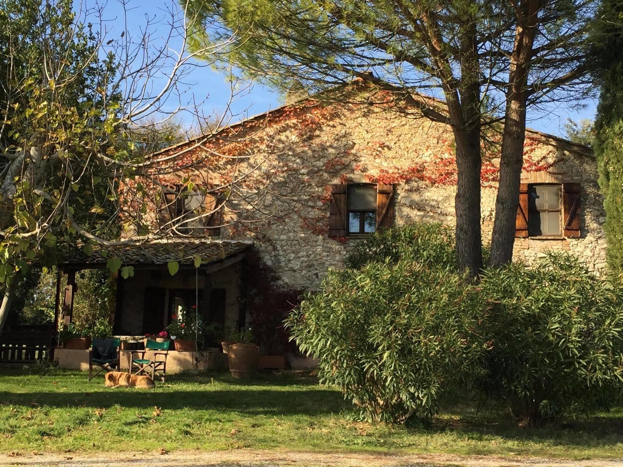 Podere Conte Racani Amelia Exteriör bild