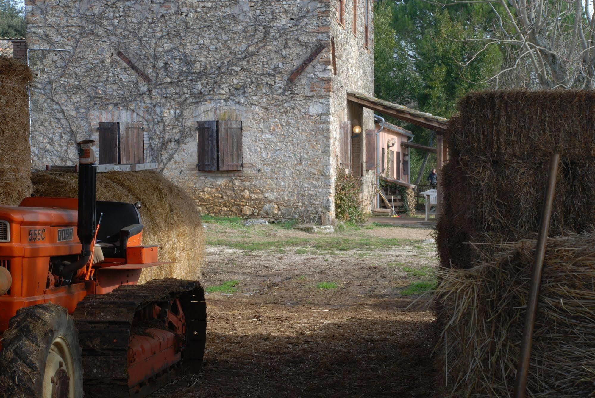 Podere Conte Racani Amelia Exteriör bild