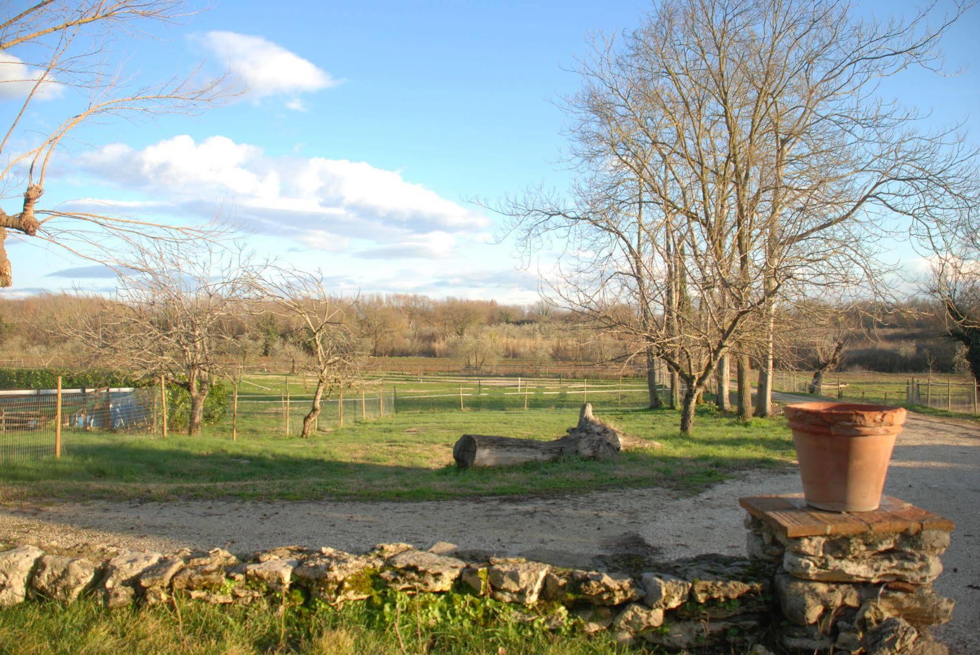 Podere Conte Racani Amelia Exteriör bild