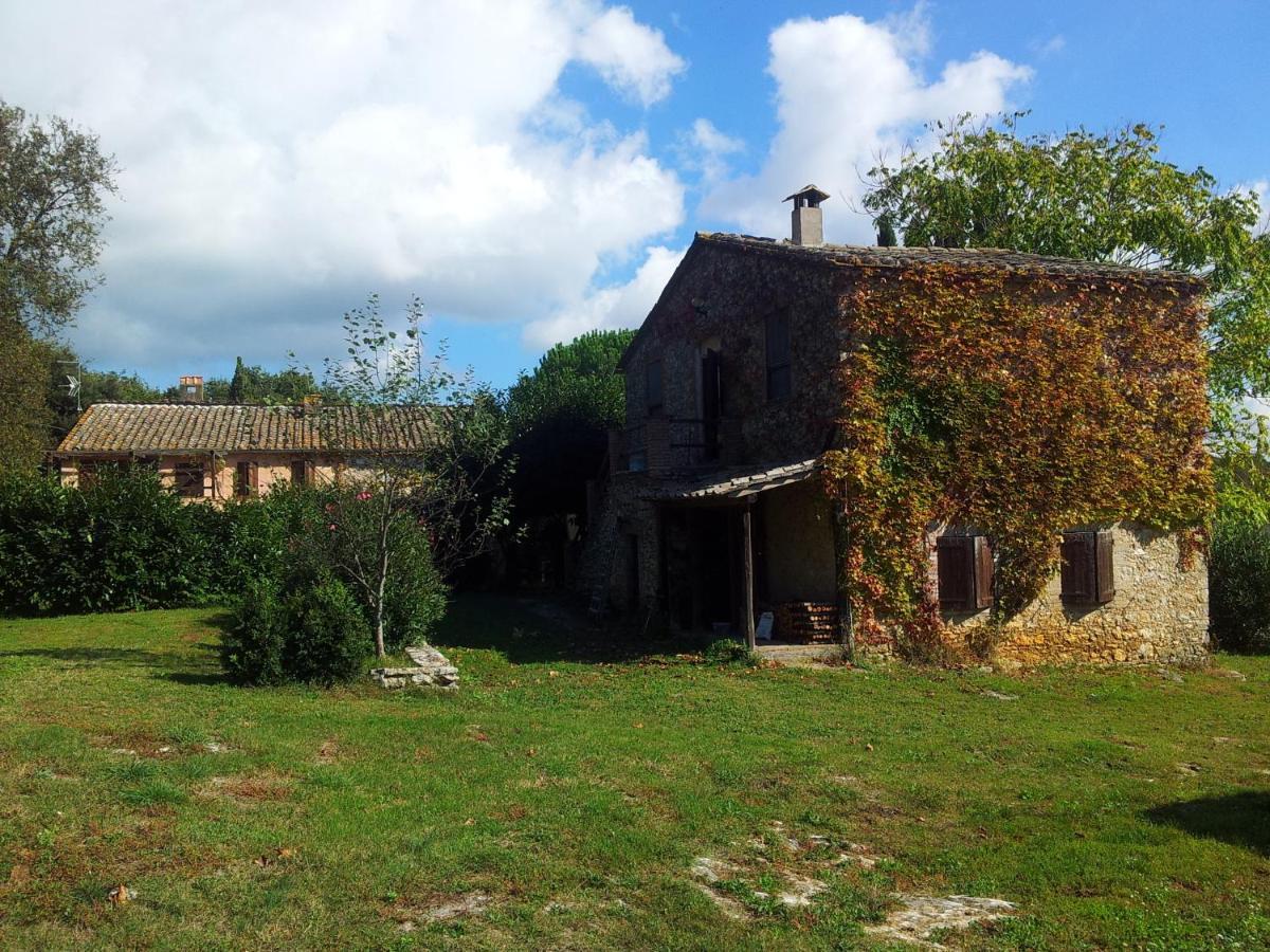 Podere Conte Racani Amelia Rum bild
